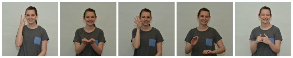 Functional Sign Language for Music Therapists | Sign Collage